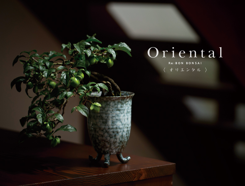 Oriental〈オリエンタル〉
