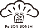 REBON BONSAI